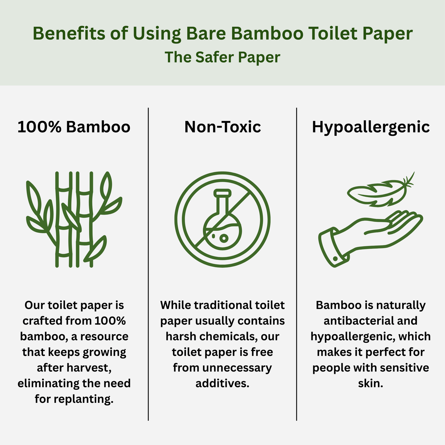 Bare Bamboo Toilet Paper | 24 Rolls